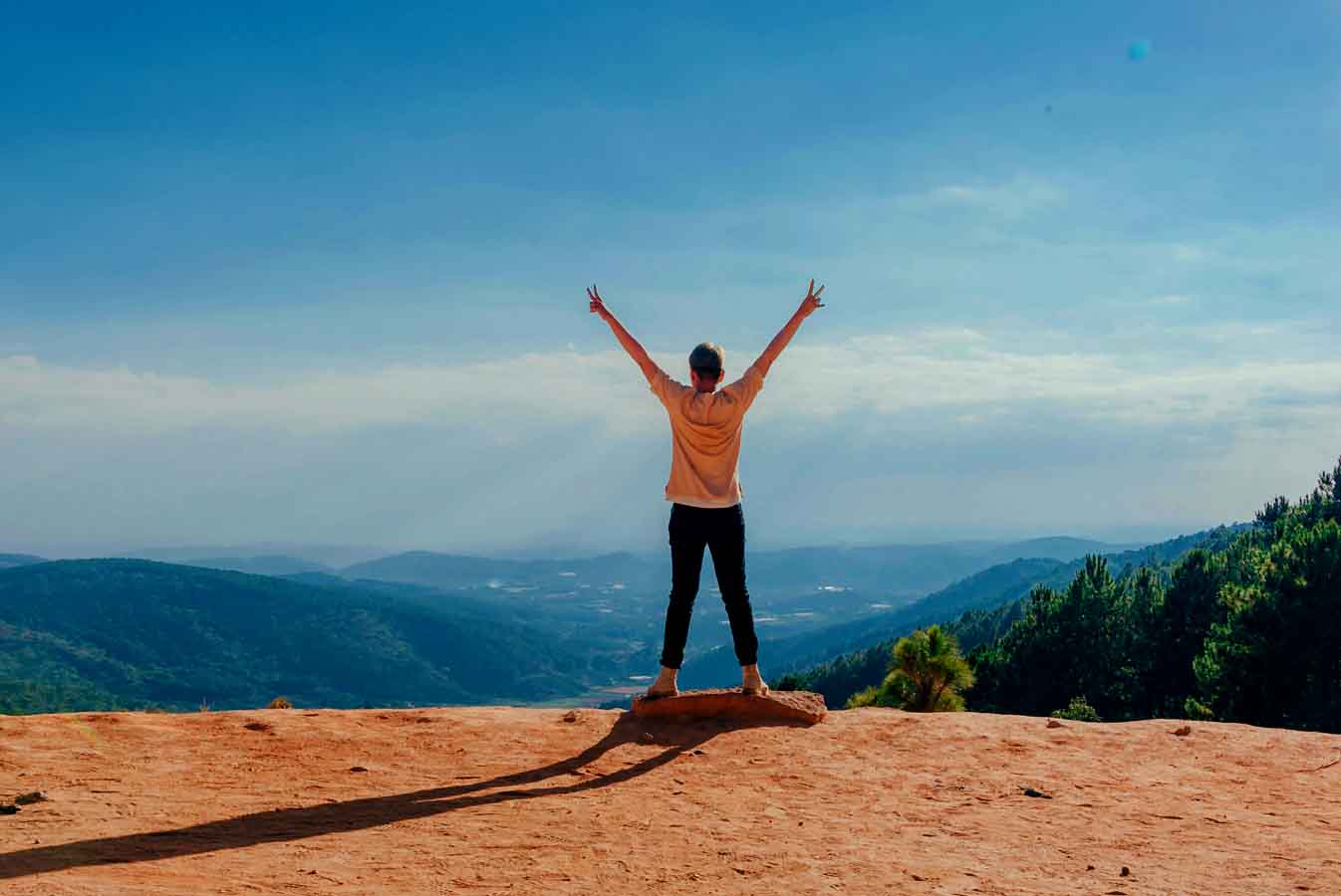 freedom freedom